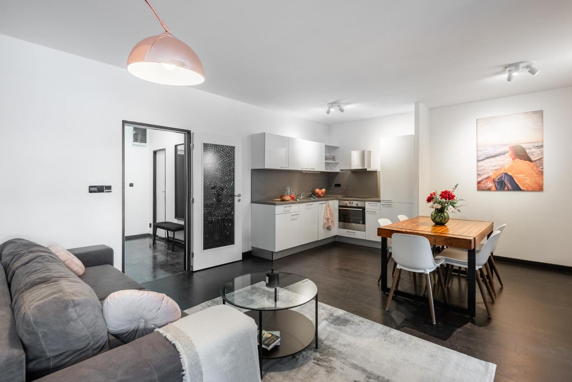 Spacious Apartments Near Karlin Square プラハ エクステリア 写真